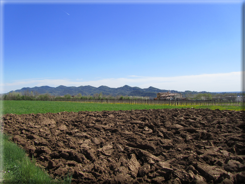 foto Paesaggi Collinari in Primavera